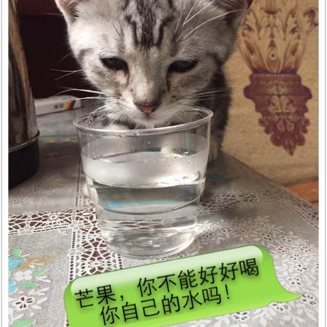 交通银行个人存款证明
